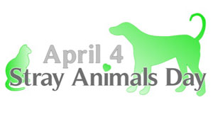Today is 'World Stray Animals Day' | Aanifeira - Associação dos Amigos dos  Animais de Santa Maria da Feira